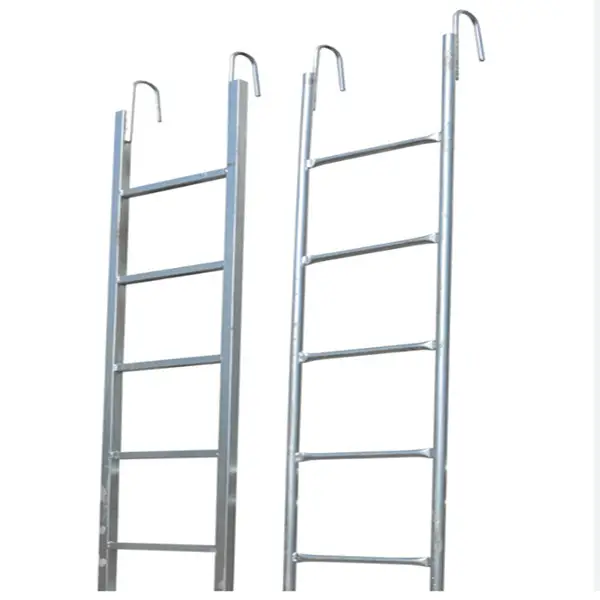 Monkey Ladder (5).jpeg