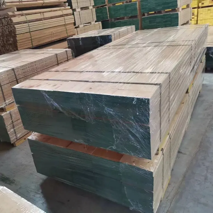 High-Capacity Ringlock Scaffold for Power Plant Maintenance
