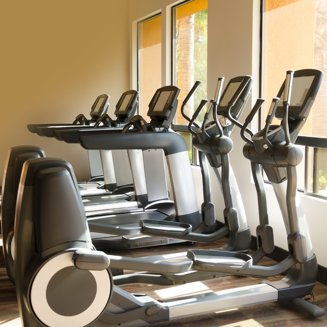 Fitness
