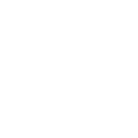 Custom Solutions