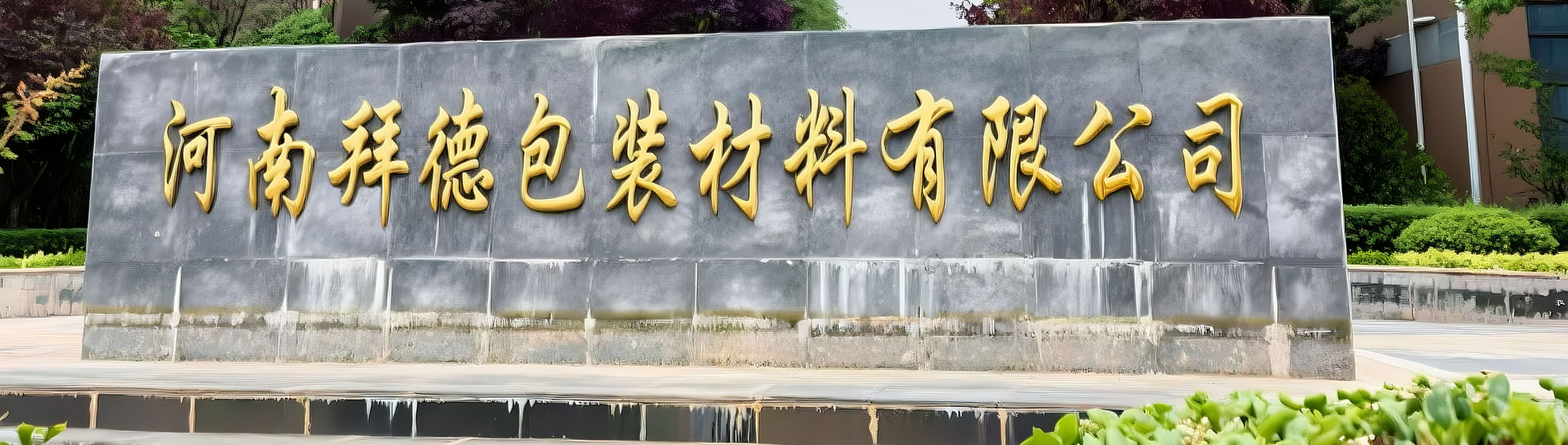 Automated Packaging Machines | End-to-End Solutions | Henan Best Packing Machine Co., Ltd.