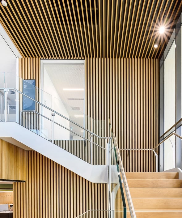 Hot Sale 3D Wood Grain Design WPC Double-Sidedwall Panel Wood Cladding Decorative WPC Wall Panel manufacture