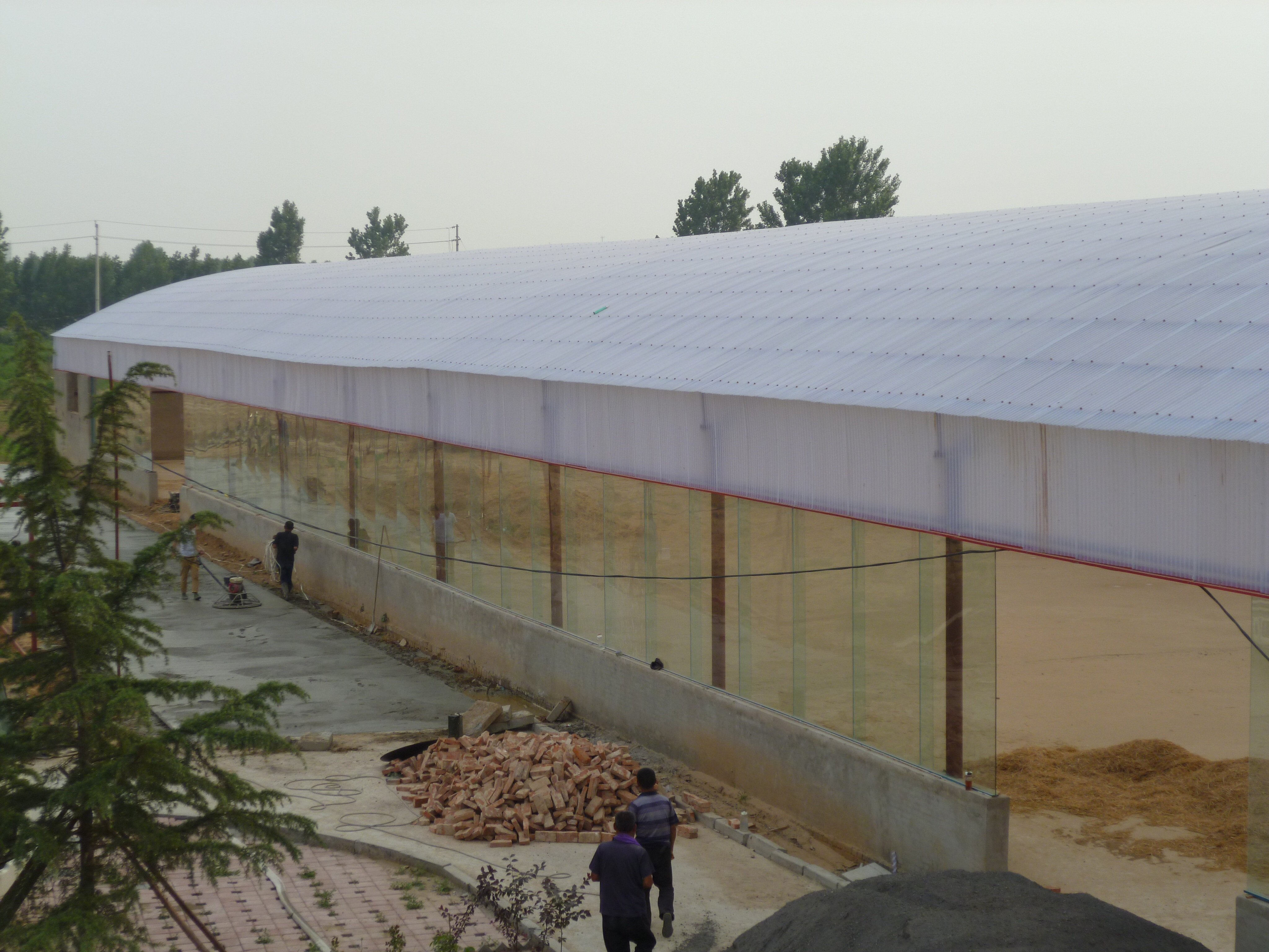 Greenhouse Polycarbonate Sheets: How to Choose the Right Panels