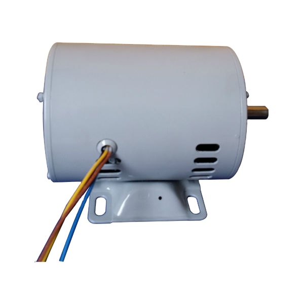 China Factory Single Phase Induction Motor Universal AC Motor for Washing Machine