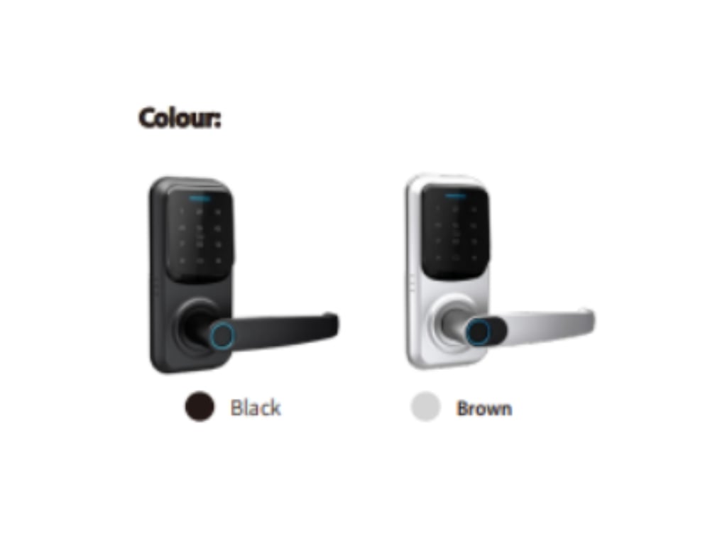 Biometrik aqlli qulflar LS-C90
