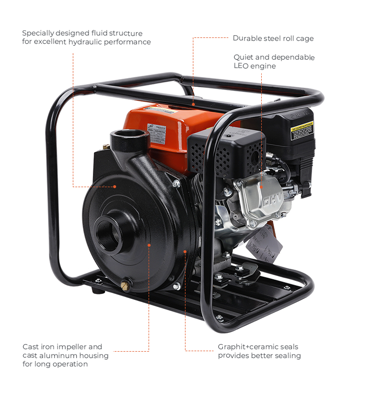 cast iron water pump LGP20i-A.jpg