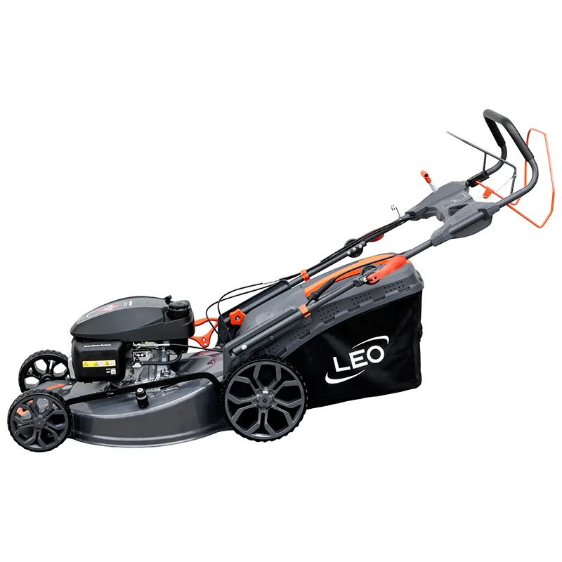 image(7babb01f7a).png