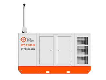 Gas Generator Set | RTF250C-41N
