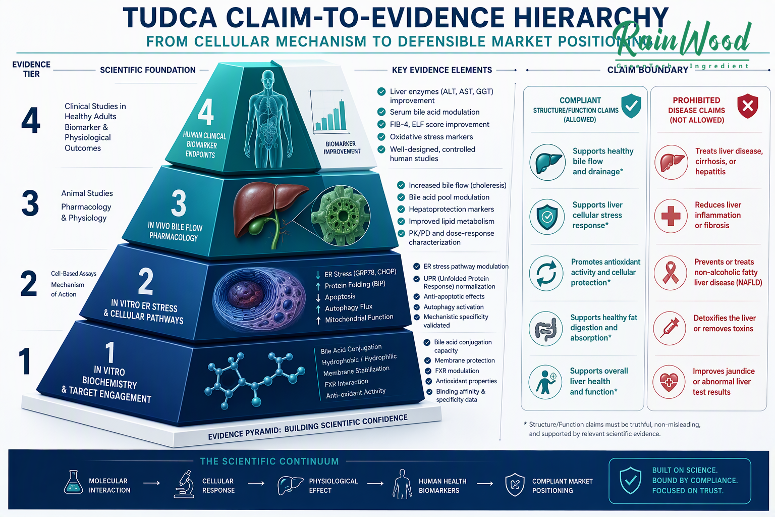 Regulatory Compliance and Analytical Quality Dossier Auditing Laboratory