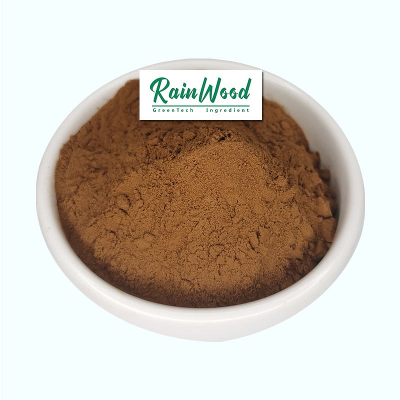 Pure Lion's Mane Mushroom Powder