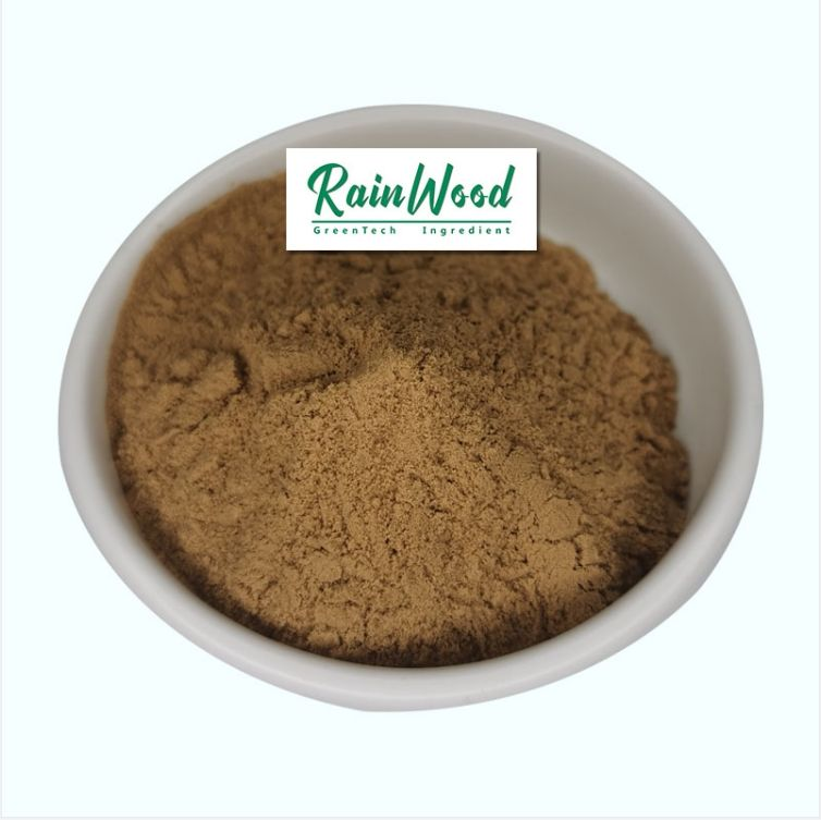 Pleurotus 0streatus Oyster Mushroom Extract