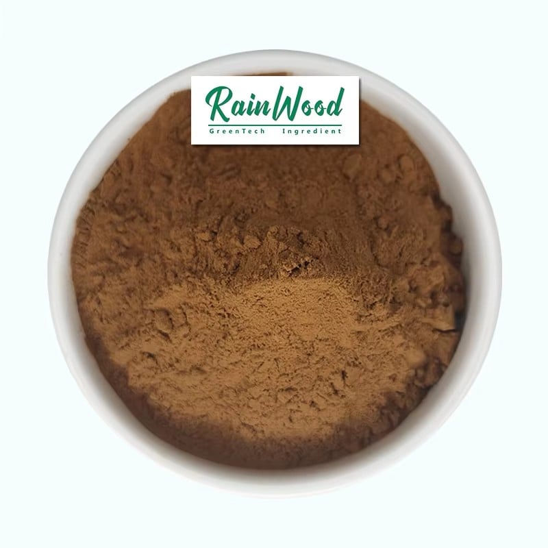 Phellinus lgniarius Extract Powder