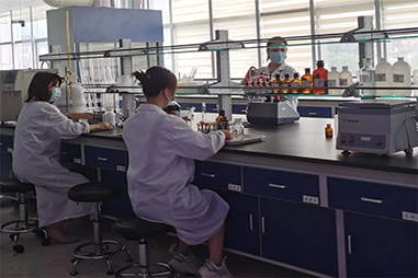 Rainwood: Sourcing High-Quality Health Supplement Raw Materials
