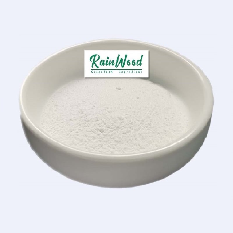 Best Lactase Enzyme Supplement