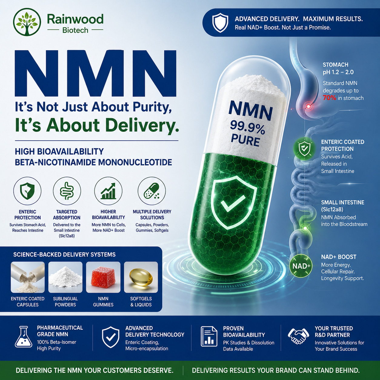 Bioavailability Math: Why Your 500mg NMN Capsule Might Only Deliver 50mg to Your Cells
