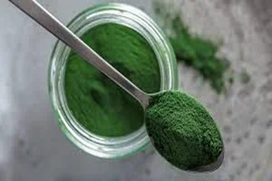 Introducing Rainwood’s Spirulina Chlorella Powder