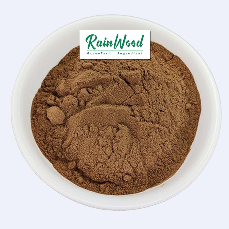 Reishi Mushroom Powder Bulk