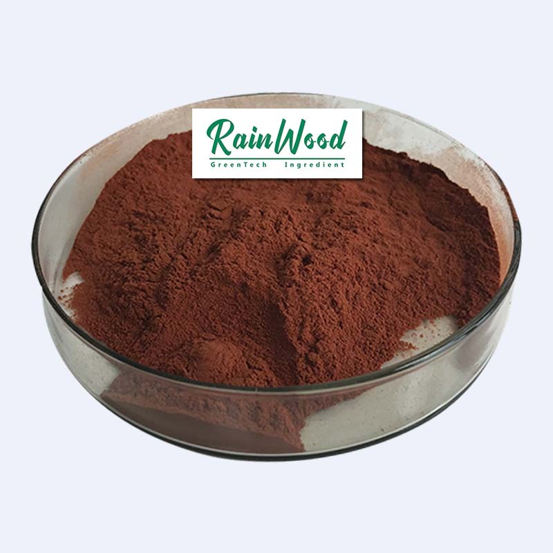 Grape Seed Extract Powder