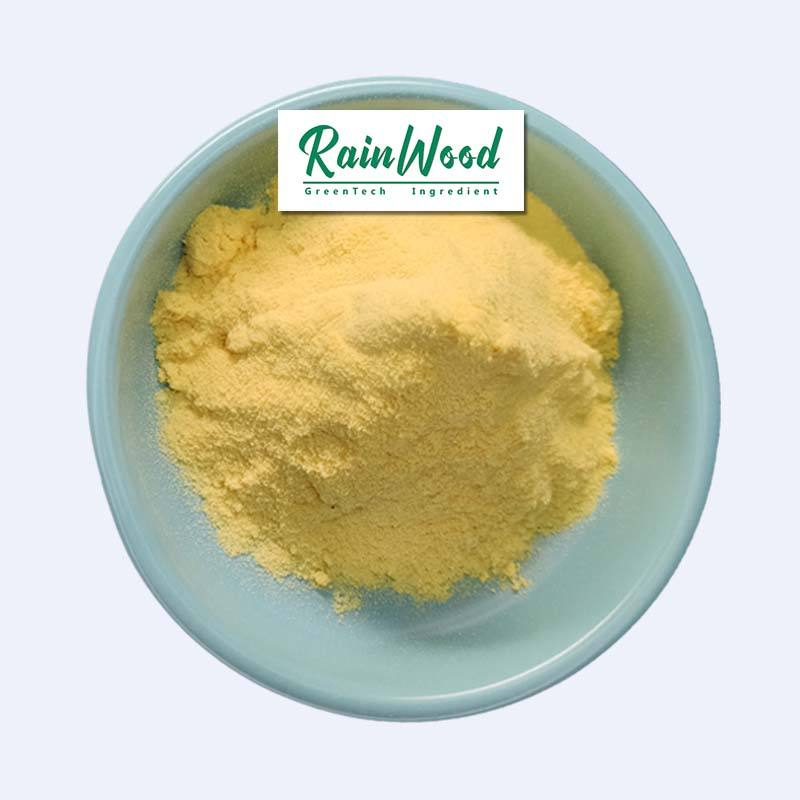 Mango Fruit Powder
