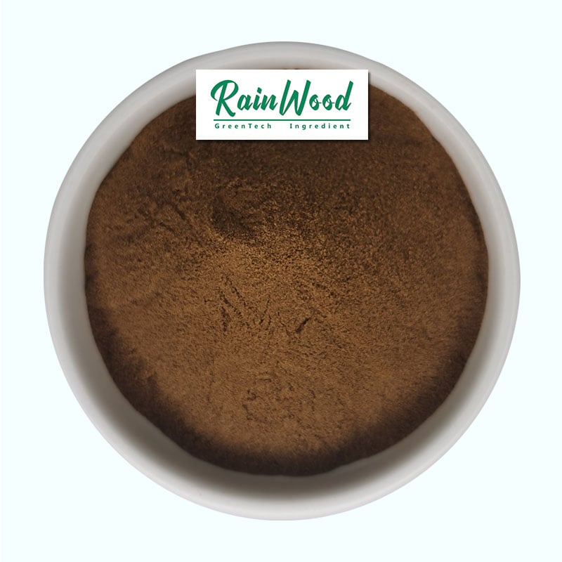Shiitake Mushroom Extract Powder