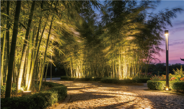 4-应用场景2.jpg