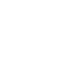 Customization Partnership