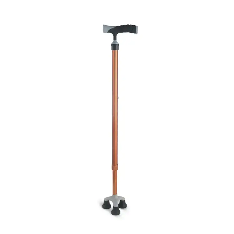 Orthopedic Cane