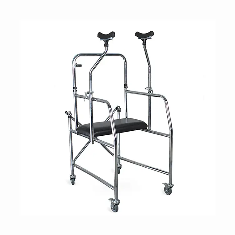 Special Needs Walker