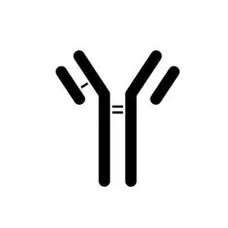 Immunology & Inflammation