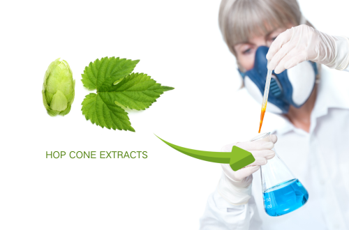 Comprehensive Quality Assurance and Regulatory Compliance