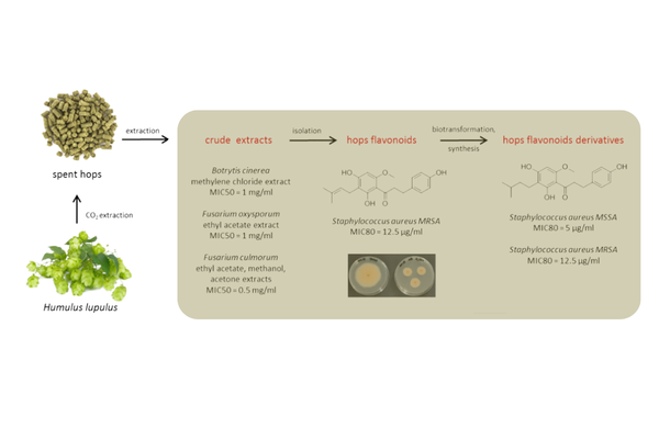 Cost-Effective Production with Consistent Results