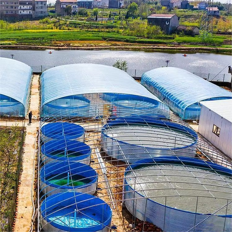 Why should we opt for a flowing water aquaculture system?