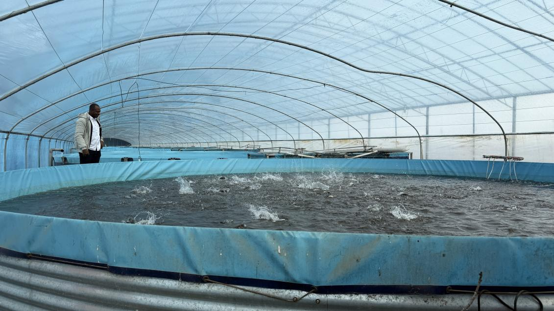 A College Graduate’s Aquaculture Dream: Bringing Prosperity to His Hometown with Running Water Farming