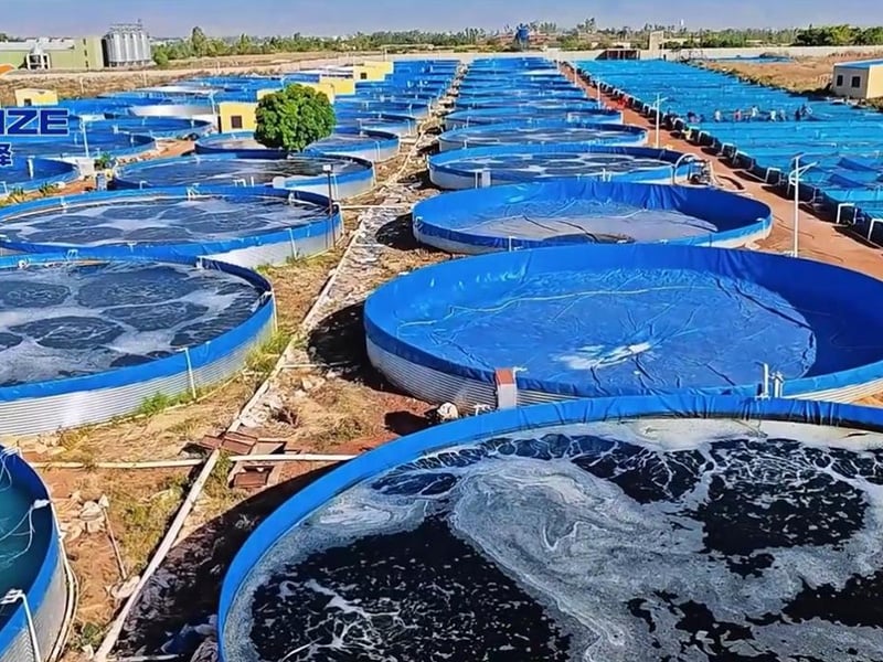 Exploring Flowing Water Aquaculture Systems: An Innovative Path to Aquaculture