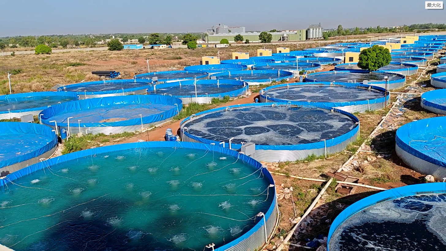 Unlocking the flow-through aquaculture system: the code for innovation in aquaculture
