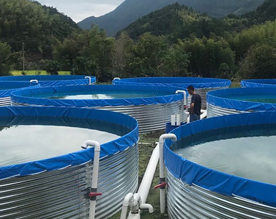 Flow-Through Aquaculture System: Let the Water Flow, Watch the Fish Grow