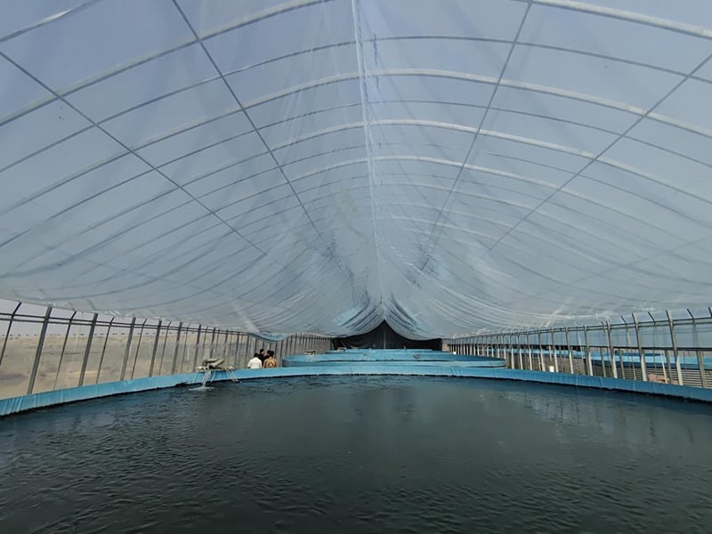 The outstanding advantages of galvanized plate fish ponds & High-density breeding equipment