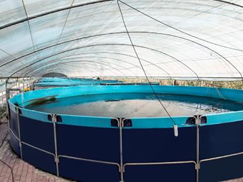 How to make a circulating water filtration system for fish ponds, what are the benefits of circulating water