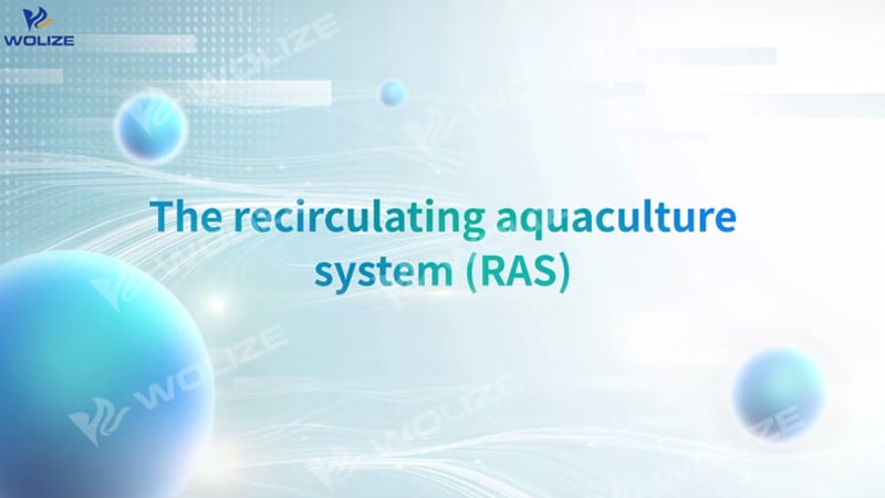 Witamy w systemie recyrkulacyjnego akwakultu (RAS)