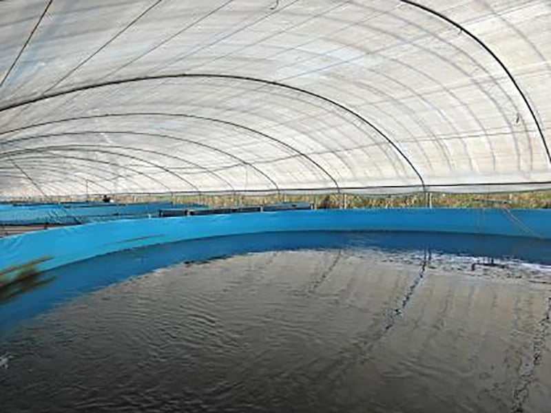 How to make a fish pond circulating water filtration system and what are the benefits of circulating water