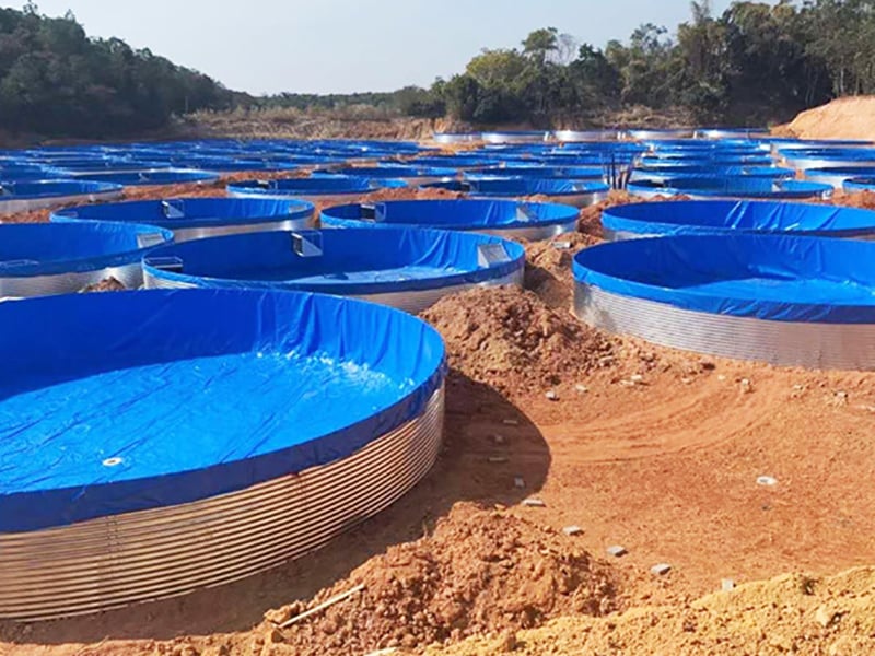 How to correctly use the recirculating aquaculture system