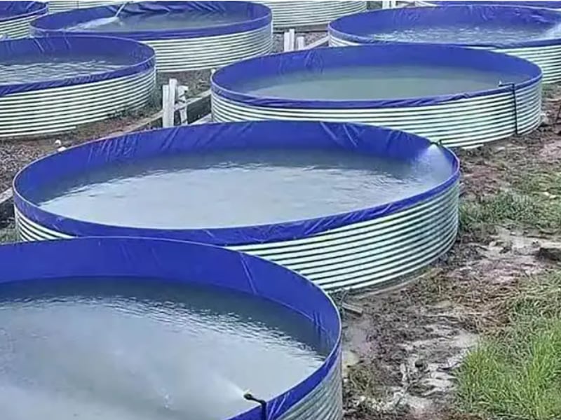 Advantages and applications of galvanized sheet fish pond