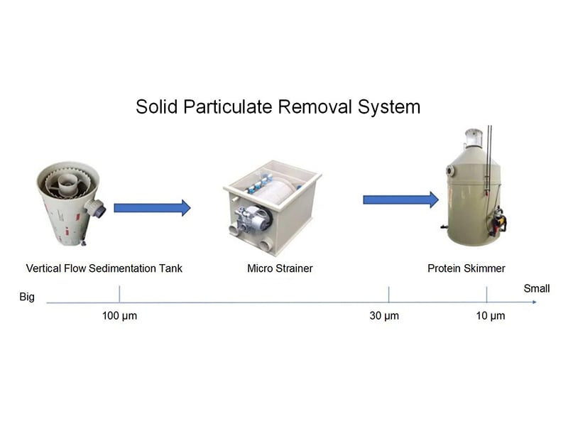 Land-based Industrialized Recirculating Aquaculture System (RAS) Process and Parameter Design (Part 2)