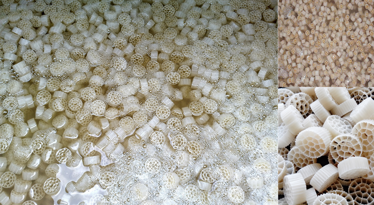 5 reasons for high ammonia-nitrogen levels in recirculating fish ponds: a step-by-step troubleshooting guide, from biochemical filter volume to feed intake