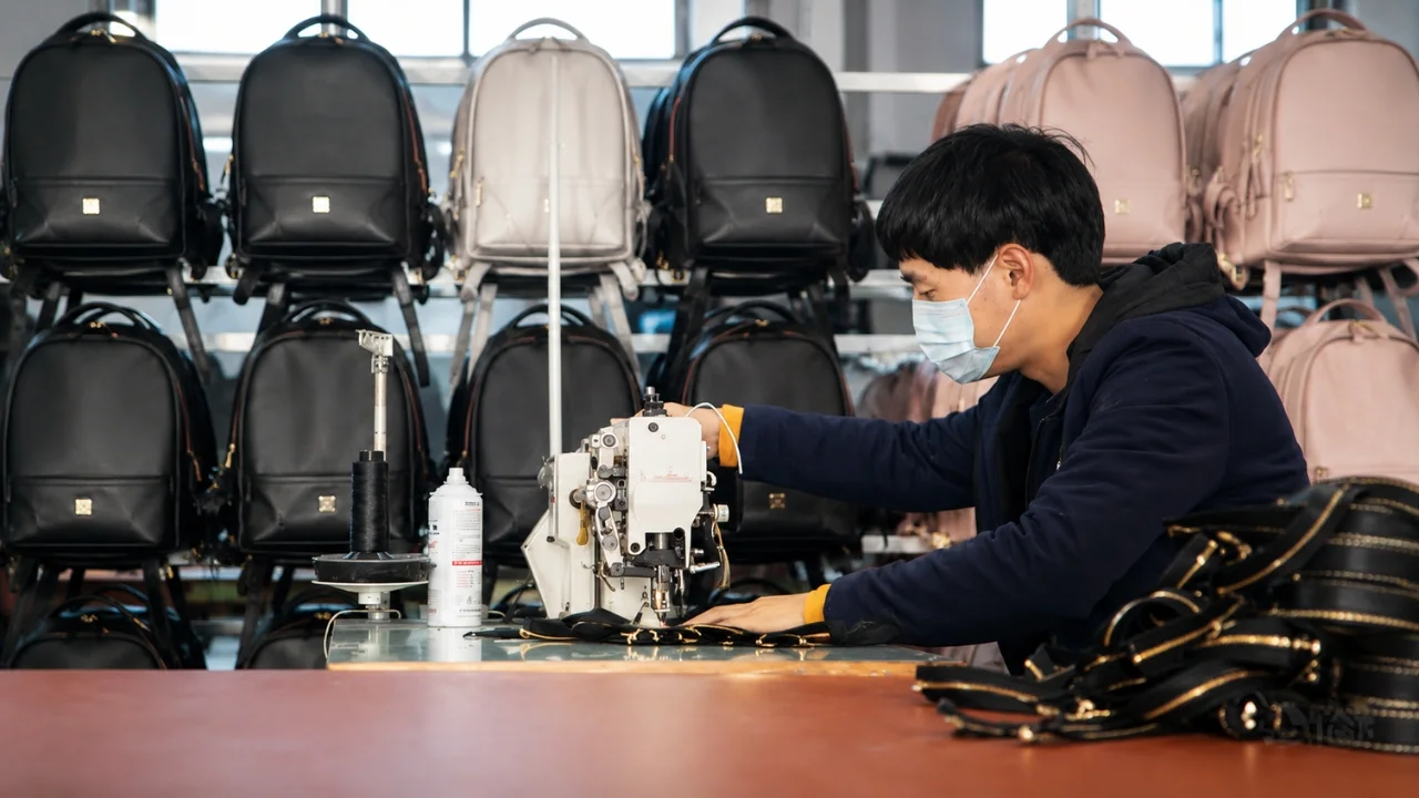 2025 China Bags and Luggage Export Industry Review