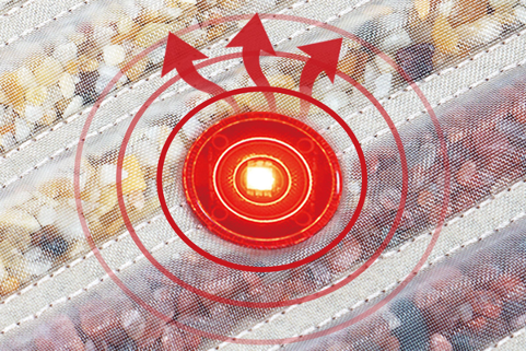The Science of Photobiomodulation (PBM): A Deep Dive into Photon Therapy for Professional Wellness