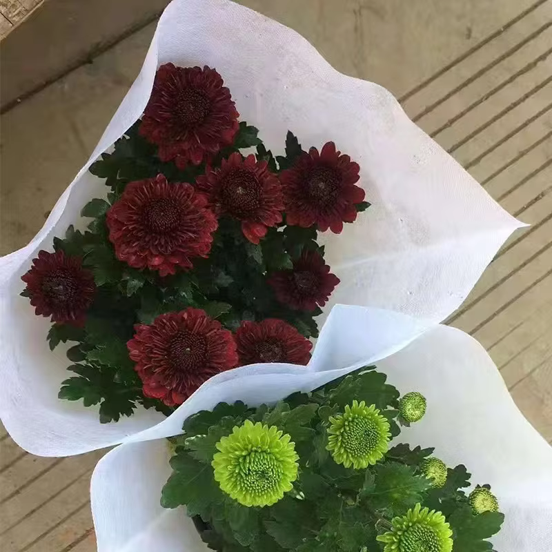 Non Woven Flower/Plant Bag Sleeve manufacture