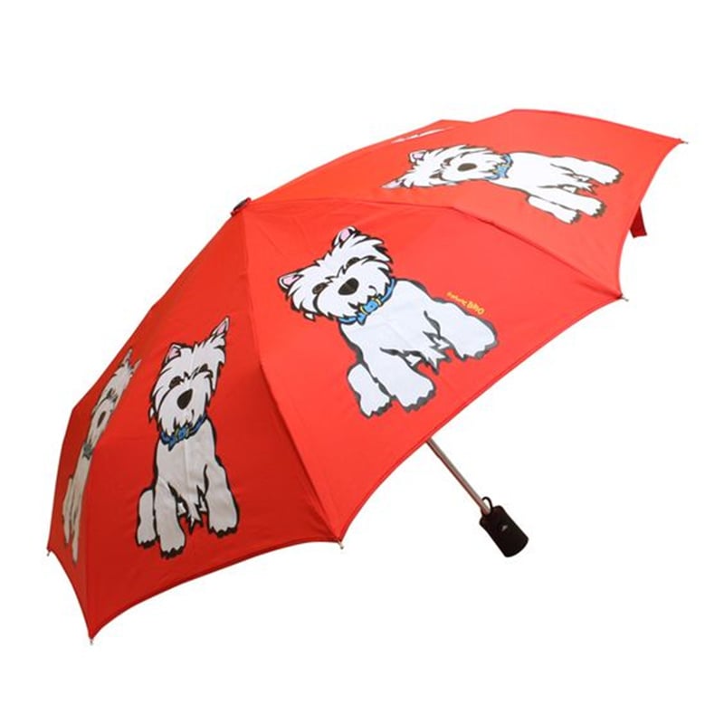 Umbrella