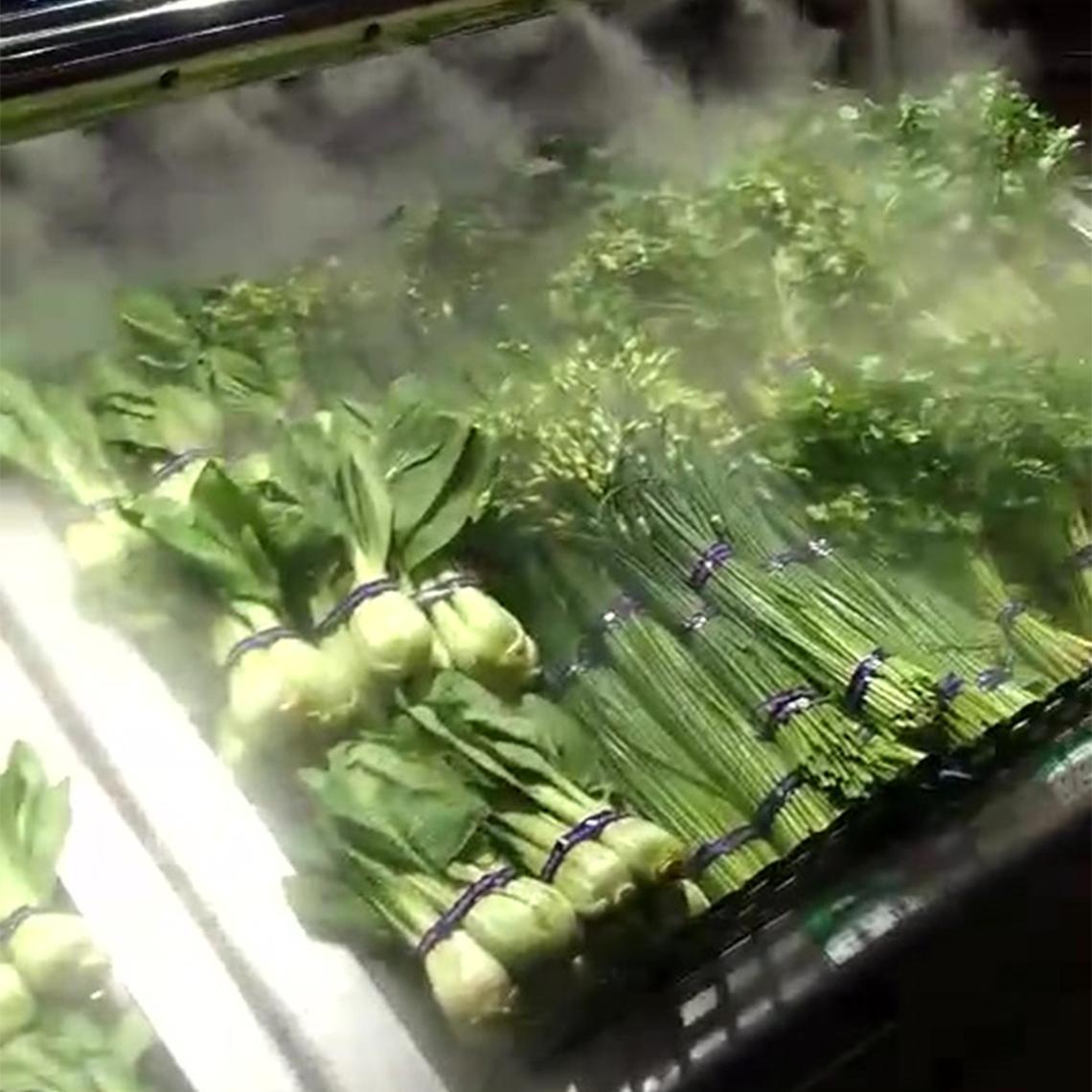 Freshness Preservation