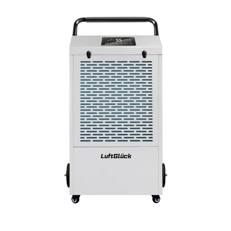 Cé Meáchan Fuinnimh a Bhuailfidh Tú Sábháil le Dehumidifier Éifeachtach Fuinnimh?